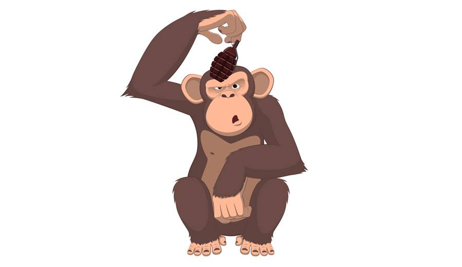 Monkey